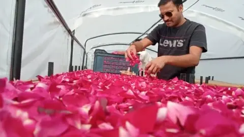 Kapil Jain Kapil Jain, farmer