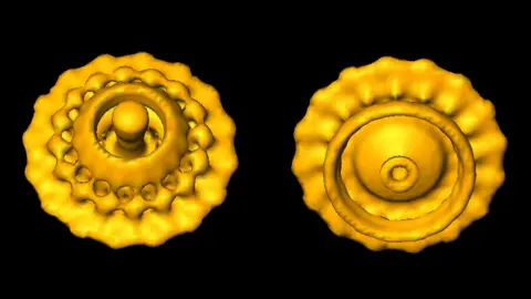 GAVIN MURPHY/NATURE/SCIENCE PHOTO LIBRARY Flagellar motor