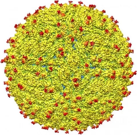 Purdue Uni Zika virus