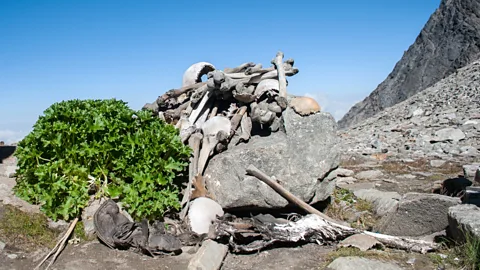 Schwiki/Human Skeletons in Roopkund Lake/Wikipedia/CC BY-SA 4.0 Nobody can be sure why these skeletons are at the bottom of a glacial lake (Credit: Schwiki/Human Skeletons in Roopkund Lake/Wikipedia/CC BY-SA 4.0)