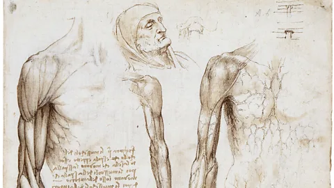 The Royal Collection Da Vinci dissected around 30 bodies and drew them by candlelight, with a piece of cloth covering his mouth and nose (Credit: The Royal Collection)