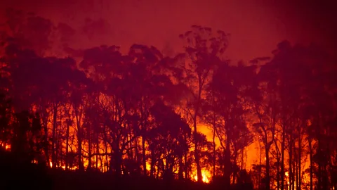 Tim McDonald Australia’s recent bushfires are the latest in a spate of terrifying natural disasters across the planet (Credit: Tim McDonald)