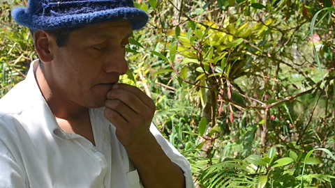 Dimitri Selibas Communities in southern Colombia are increasingly using ancestral seeds as a way to practice Buen Vivir (Credit: Dimitri Selibas)
