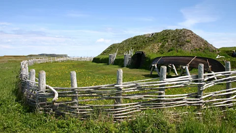 Murphy_Shewchuk/Getty The Norse settlement of L'Anse aux Meadows in Newfoundland dates to at least 1021 CE, providing a timeframe for Viking activity in North America (Credit: Murphy_Shewchuk/Getty)