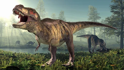 Roger Harris/SPL/Getty Images Would Tyrannosaurus rex have had the fearsome roar portrayed in blockbuster movies? Credit: Roger Harris/SPL/Getty Images)