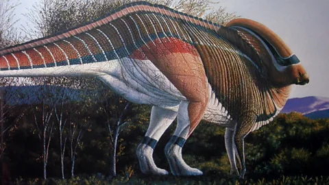 Tom Williamson Even without a larynx or voice box, P. tubicen may have still been able to produce sounds using its distinctive headcrest (Credit: Tom Williamson)