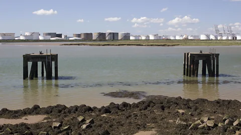 Chillingworths/Getty Images Canvey Wick was once a centre for the petrochemical industry (Credit: Chillingworths/Getty Images)