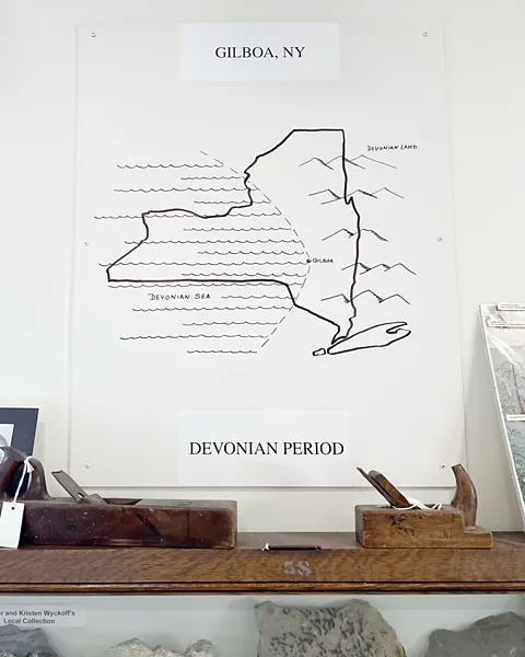 Hillary Richard What is now Gilboa, New York, once sat on the edge of the Devonian Sea (Credit: Hillary Richard)