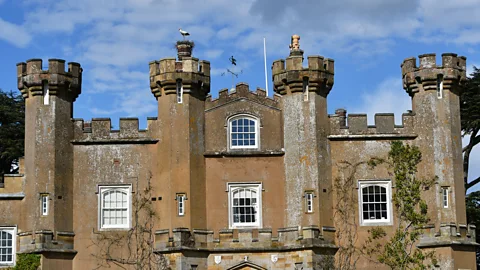 Knepp Estate Storks have nested on top of Knepp Castle in recent years, but now the colony mostly nests in oak trees on the rewilded estate (Credit: Knepp Estate)