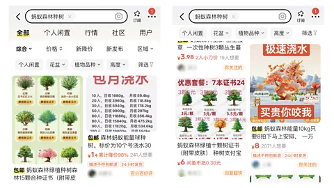 Alibaba Ant Group’s affiliate Alibaba runs an eBay-like platform called Xianyu. Sellers offer a variety of options for players who want to cheat on Ant Forest (Credit: Alibaba)