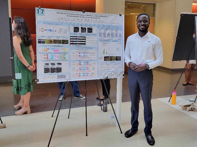 cancer research