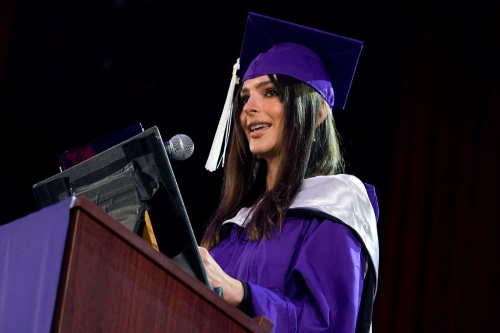 6 best one-year diplomas in New Zealand 6 best one-year diplomas in New Zealand