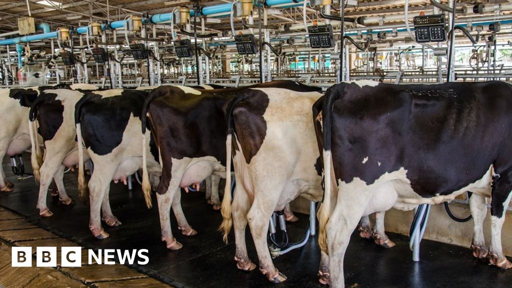 NI farmers press government on tariffs NI farmers press government on tariffs