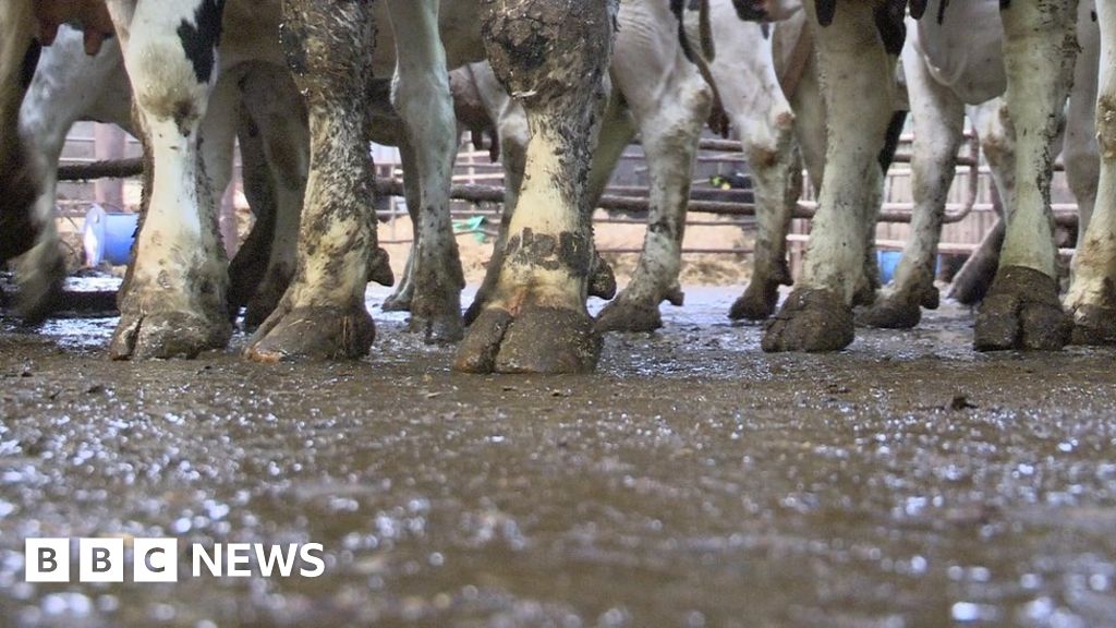 Move by Edwin Poots eases farm planning backlog Move by Edwin Poots eases farm planning backlog