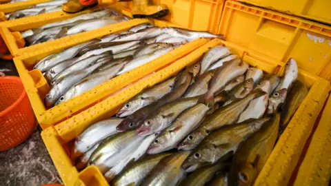Getty Images Fish in crates