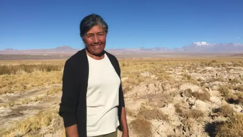 BBC Sara Plaza on dry pasture land