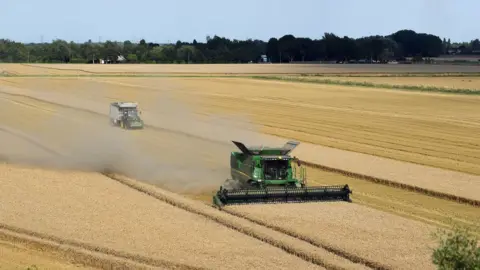 PA Media A combine harvester in Norfolk