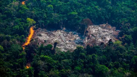 Getty Images Deforestation in the Amazon basin