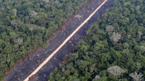 Reuters A road runs through a tract of burnt Amazon jungle near Porto Velho, Rondonia State, Brazil, 14 August 2020