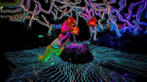 Ben Birchall Wake the Tiger installation