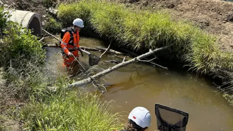 National Highways A man is catching fish in a brook using a net