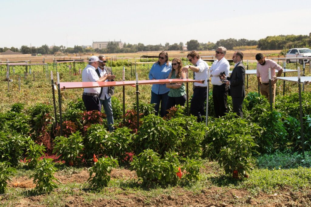 agribusiness