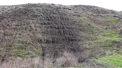 IOM Government Damaged peatland