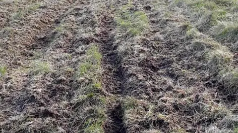 IOM Government Damaged peatland