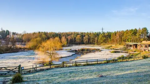 WWT General view of Washington Wetland Centre
