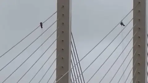 Kelsey Sings Two Just Stop Oil protesters up the Queen Elizabeth II Bridge near Dartford