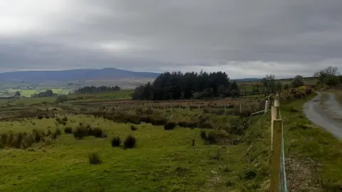 Mountains, green fields with brush and trees run alongside a narrow country lane at Curraghinalt in County Tyrone. The sky has grey clouds with the sun breaking through.