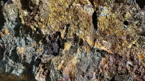 A close up of a rock wall of a mine shaft. A gold vein is running through the rock.