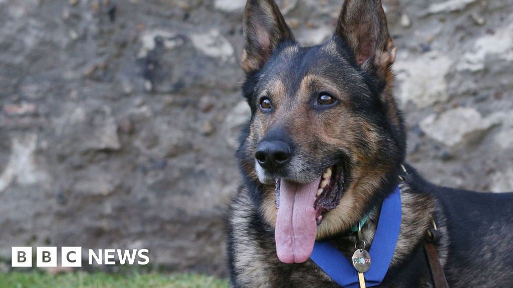 £40K target reached for statue of police dog £40K target reached for statue of police dog