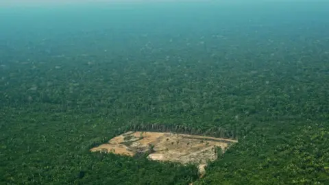 AFP A patch of deforested land in the Amazon rainforest