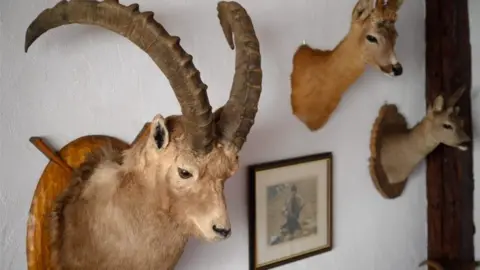 AFP/ Getty Images Trophy hunting