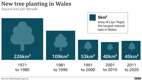 Tree planting graphic