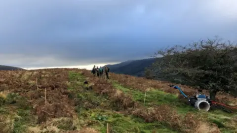 Bryn Arw in the Black Mountains