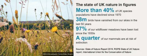 Factbox