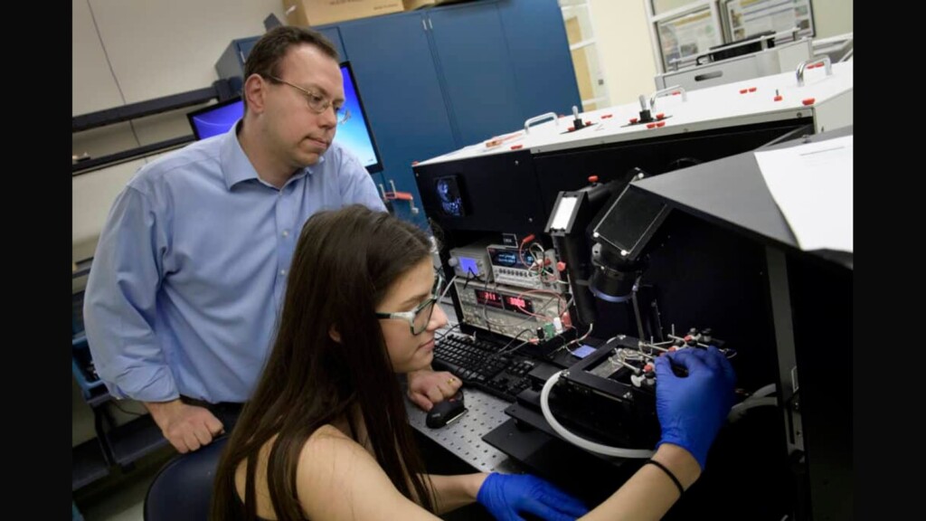 3 universities shaping future ECE leaders 3 universities shaping future ECE leaders