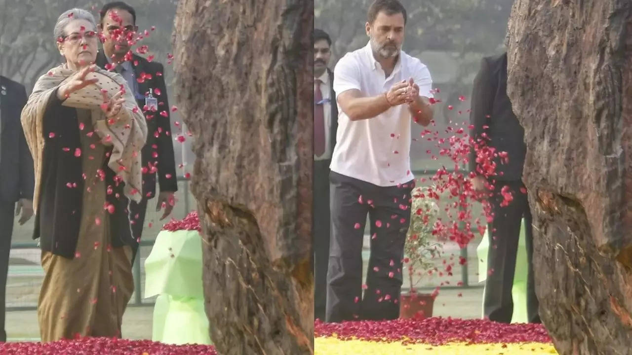 ‘Life, dedicated duty to country’: Congress commemorates former PM Indira Gandhi on her 105th birth anniversary | India News