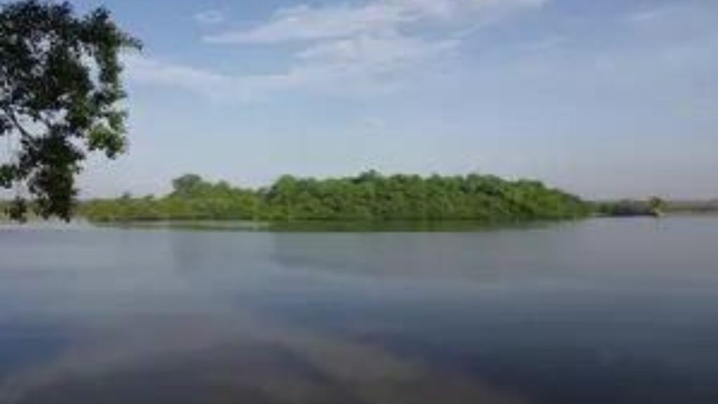 UAE: Al Dahak calls for uniting efforts to protect environment, conserve resources on National Environment Day