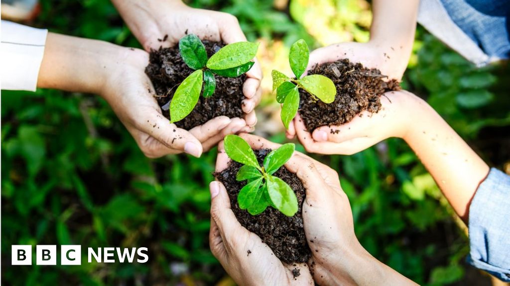 What is Earth Day, when is it and what has it achieved? What is Earth Day, when is it and what has it achieved?