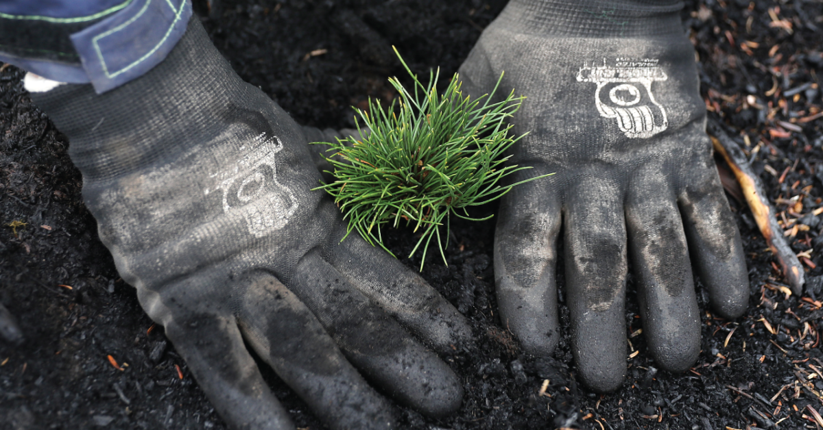 Two-Thirds of Americans Think Government Should Do More on Climate