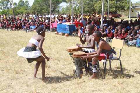 China-Zimbabwe cultural exchange event held to mark Africa Day-Xinhua