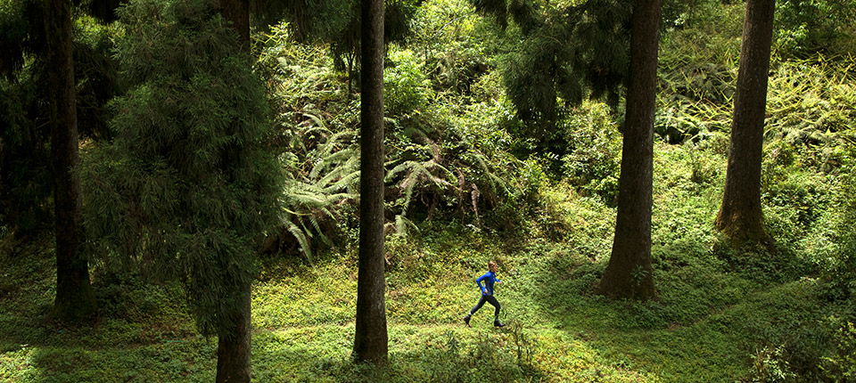 Protecting a Healthy Environment for Us All Protecting a Healthy Environment for Us All