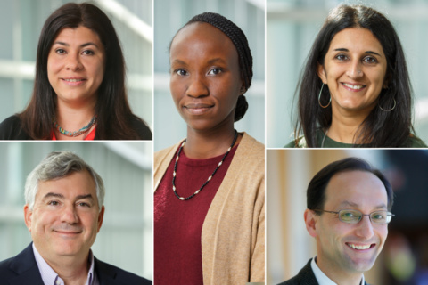 Brandeis Arts and Sciences faculty honored with annual teaching and mentorship awards