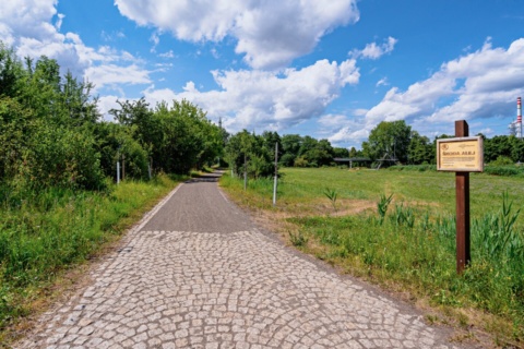 International Day for Biological Diversity: Škoda Auto supports environmental protection and sustainability measures worldwide