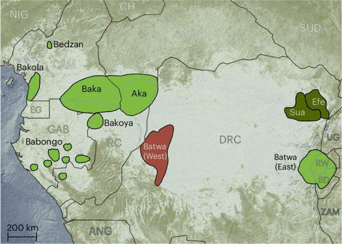 Deep history of cultural and linguistic evolution among Central African hunter-gatherers Deep history of cultural and linguistic evolution among Central African hunter-gatherers