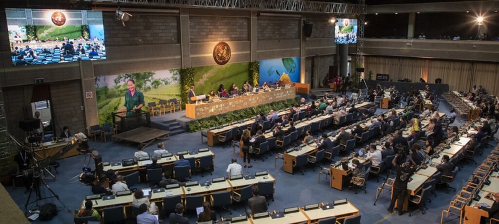 UN Environment Assembly concludes with 14 resolutions to curb pollution, protect and restore nature worldwide