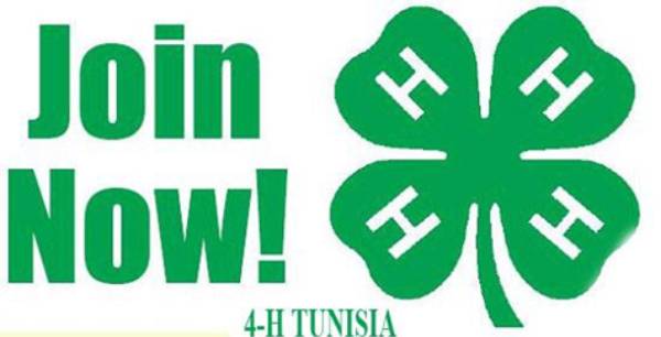 4-H around the world: Tunisia 4-H 4-H around the world: Tunisia 4-H